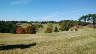 ミサワアドニスゴルフクラブ