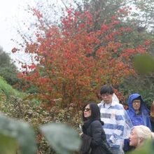 ツアーガイドさんは、一番手前の若い女性の方でした。