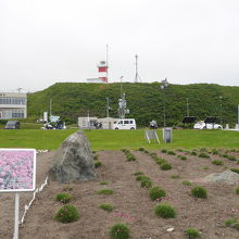 宗谷灯台の下にあります