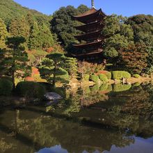 近くに維新の跡もありました