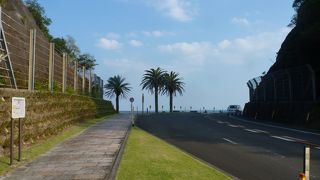 太平洋を一望できるスポット