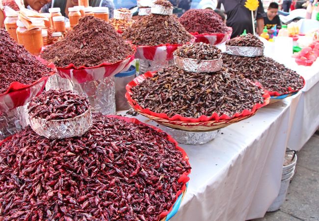 チョコから蟲までソウルフードを愉しもう♪／Ｏａｘａｃａ街歩き