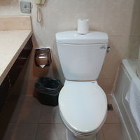 横にゴミ箱あり。サニタリー用の袋も用意されてる。