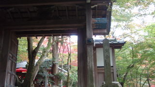 瑞宝寺公園（瑞宝寺跡）に紅葉を見に行きました