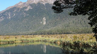 ミラーのようにはあまり見えなかった