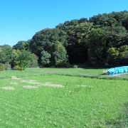 手軽に里山風景を楽しめる（大沢ほたるの里）