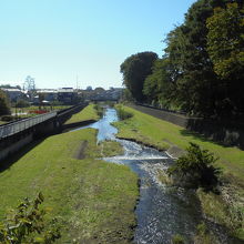 付近を流れる野川。写真の左側に公園があります