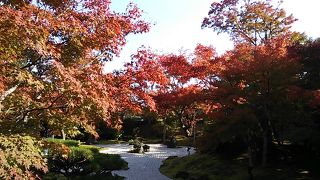 2017年11月３日現在、入口付近を中心に紅葉が見頃でした。