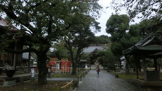 徳川将軍家と縁が深い有力寺