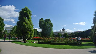 薔薇の花がきれいでした