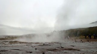 見ていて飽きません