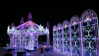 イルミ準備開始！