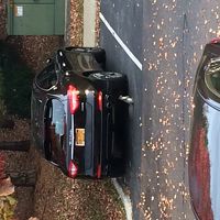 運がよければモフモフ君に出会えます