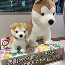 大館能代空港の秋田犬オブジェ