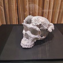 撮影可能だった展示品