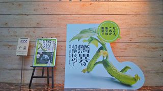 エレベーターに案内係