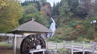 偶然見る事ができた