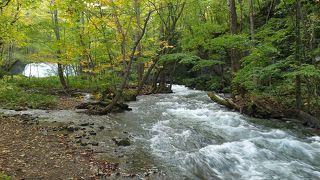 こんなものか程度