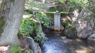 潮入池のためのものでした