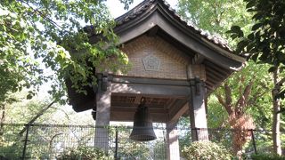 木々に囲まれています