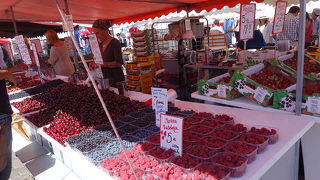 見て回るだけで楽しいです