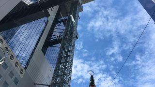 誕生日は無料です