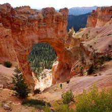 ナチュラルブリッジ