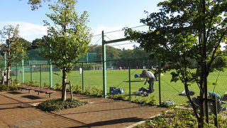 かつては細川家の下屋敷でした