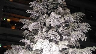 クリスマスツリーが圧巻