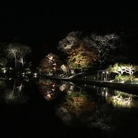 本館裏手の庭園夜景