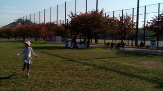 公園で久しぶりの野球