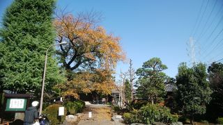 紅葉が始まった境内