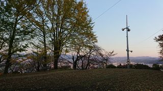 ベンチに座って眺められる