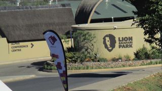 ライオンの赤ちゃんと触れ合えるライオンパークです。赤ちゃんといっても４ヶ月だったので大分大きくて抱っこはできませんでした。