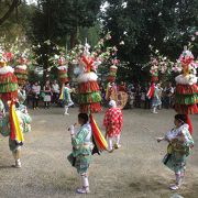 田山花踊り