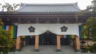 圧倒的な大きさ、智積院の中心「金堂」