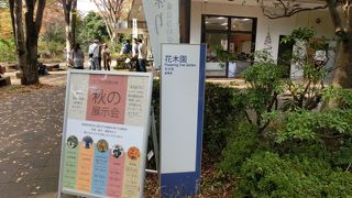 甘味求めて行列も