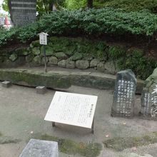 まあまあ大きいです。