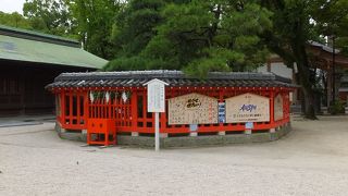 ご神木が松です。