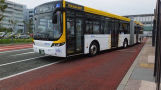 連節バスが走っています。