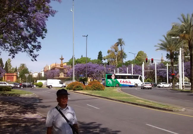 1992年開催のセビーリャ万博に整備されたもの