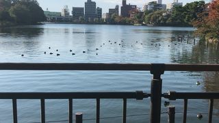 都会のオアシス