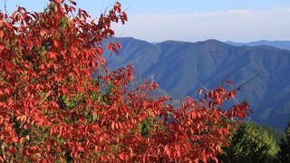 紅葉が綺麗でした