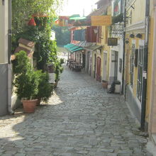 奥がドナウ川です。