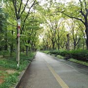 大阪には珍しい公園です。