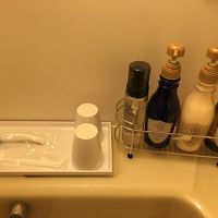 櫛やスポンジはありません