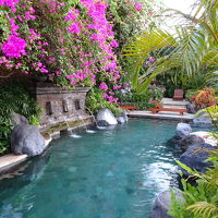 花が咲き乱れるプール