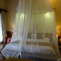 天蓋付きのベットルーム