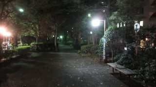 緑豊かなプロムナードといった風情。