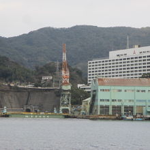 迫力があります